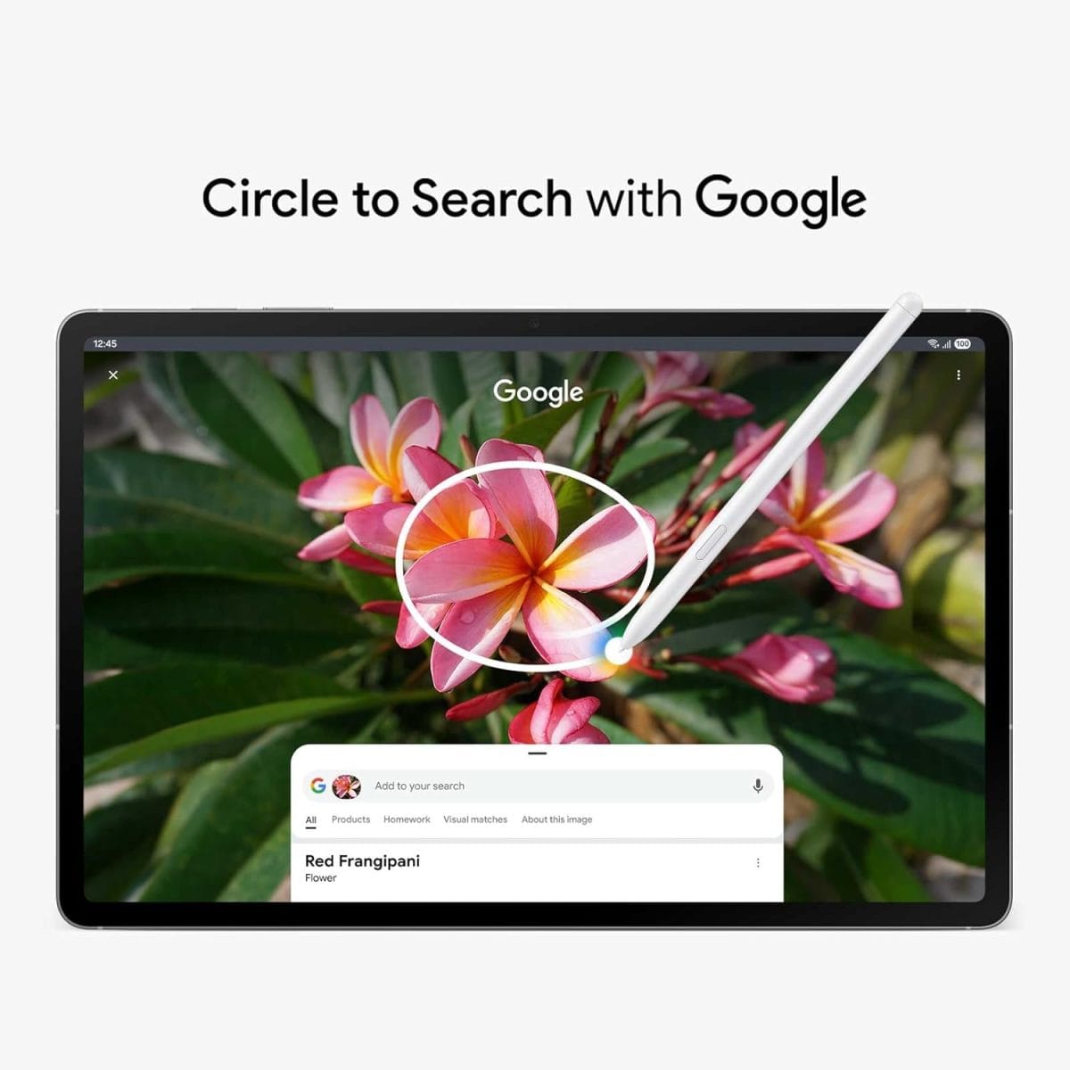 Samsung Galaxy Tab S10 FE Plus 128GB - Image 4